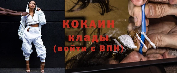 прущие грибы Абаза
