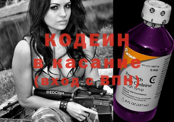 прущие грибы Абаза