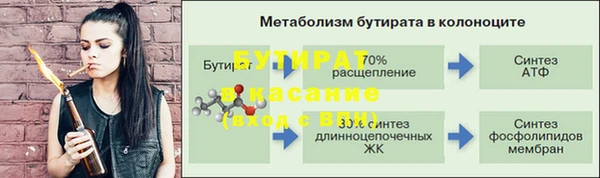 прущие грибы Абаза