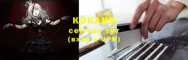 прущие грибы Абаза