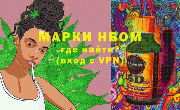 прущие грибы Абаза