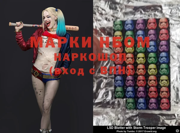 прущие грибы Абаза