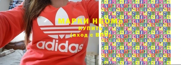 прущие грибы Абаза