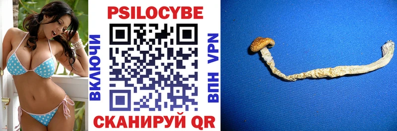 МЕГА ТОР  дарнет шоп  Алдан  Псилоцибиновые грибы Psilocybine cubensis 
